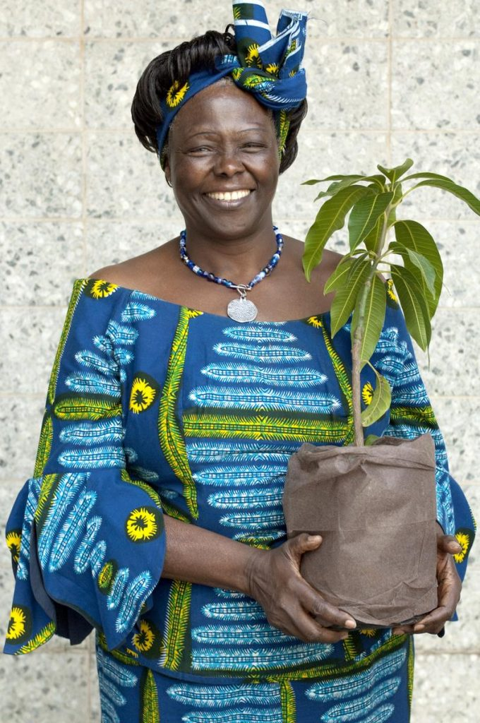 A photo of environmental activist Wangarī Maathai.