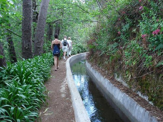 Walking the Levada dos Tornos