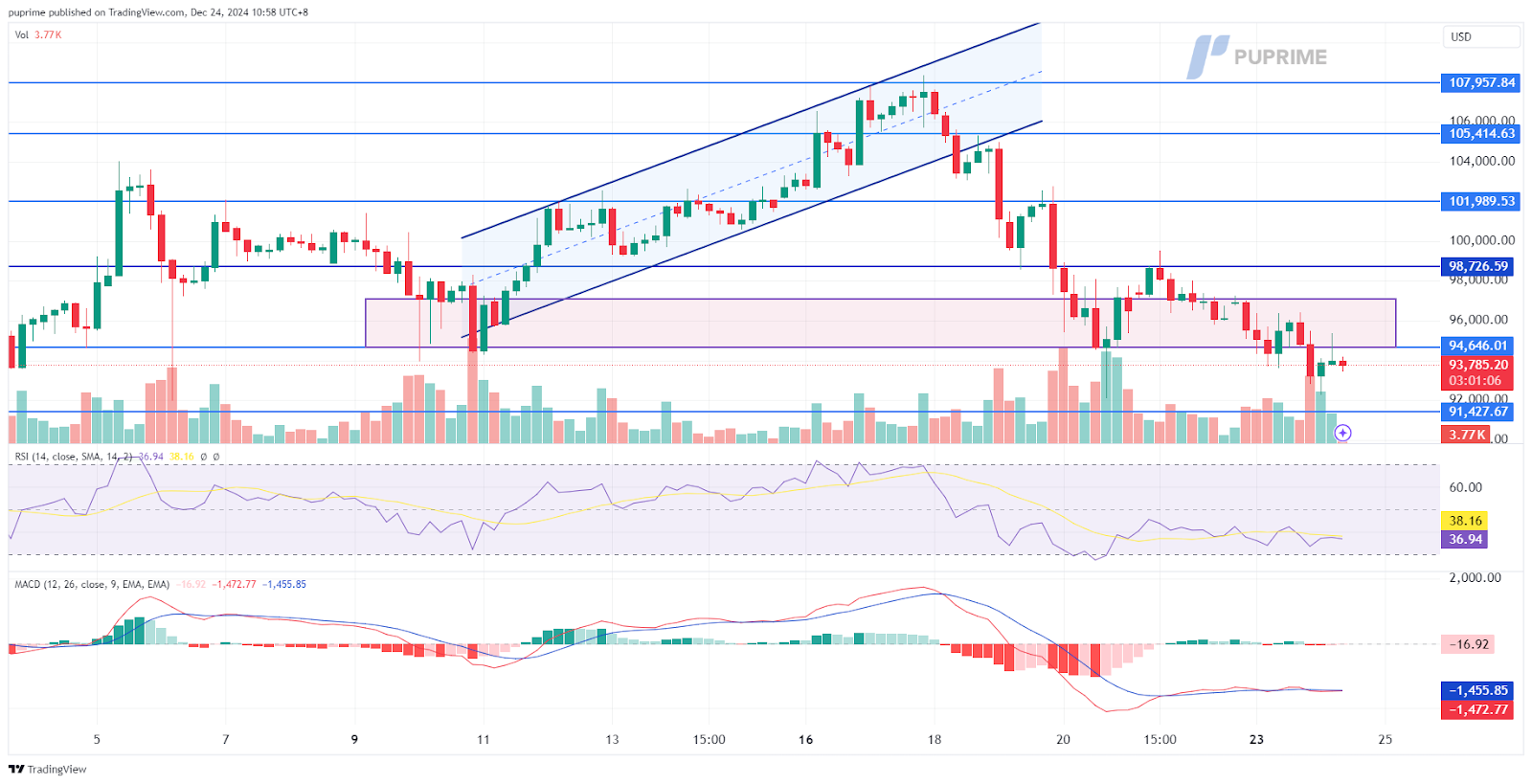 BTC/USD price chart 24 December 2024