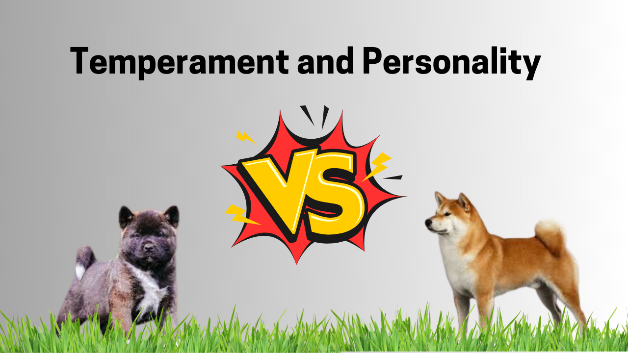 Temperament and Personality