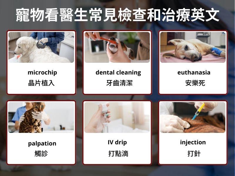 一張含有 文字, 螢幕擷取畫面, template 的圖片

自動產生的描述