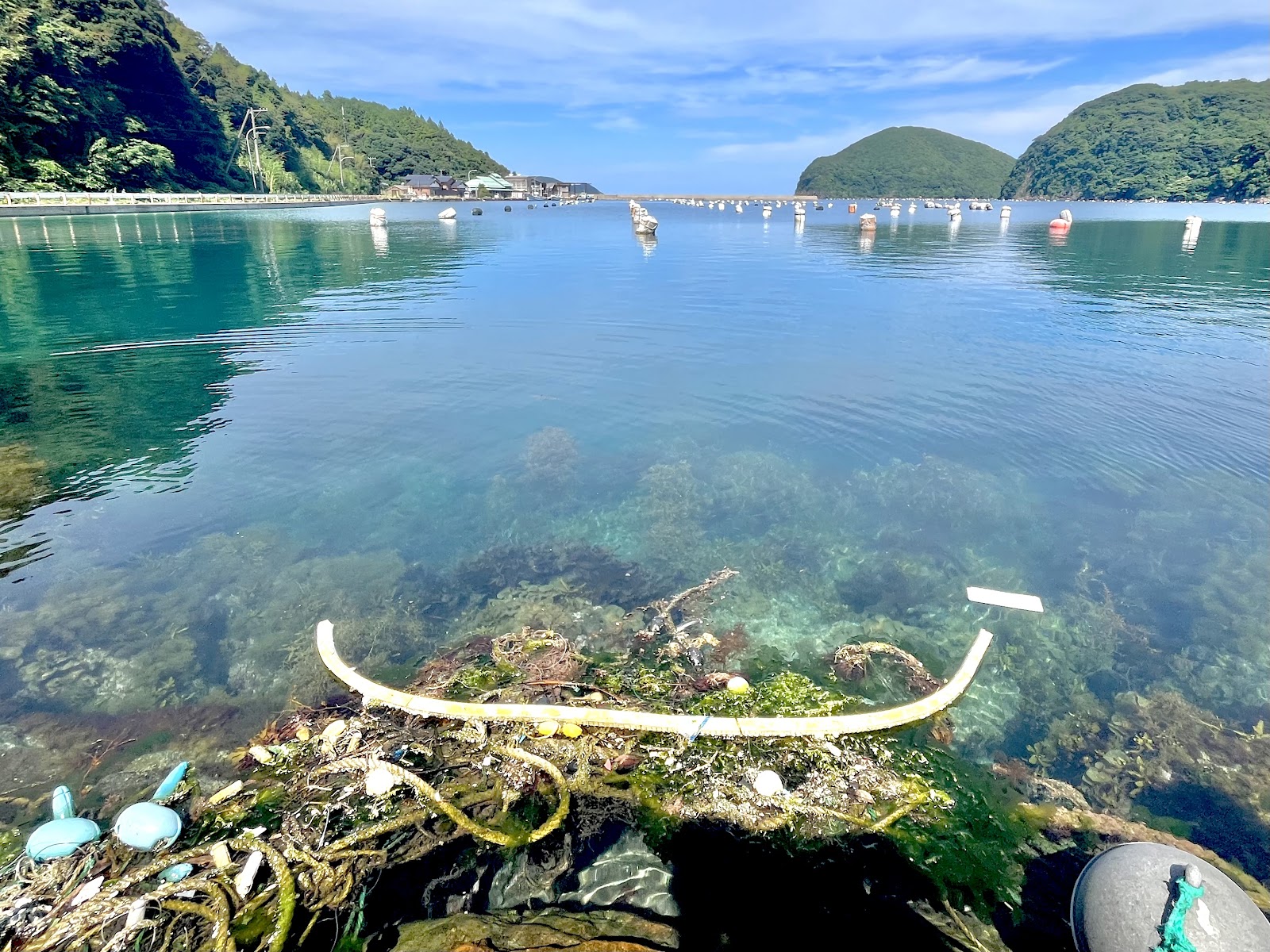 美しい海に流れ着く海洋ゴミが目立ちます。