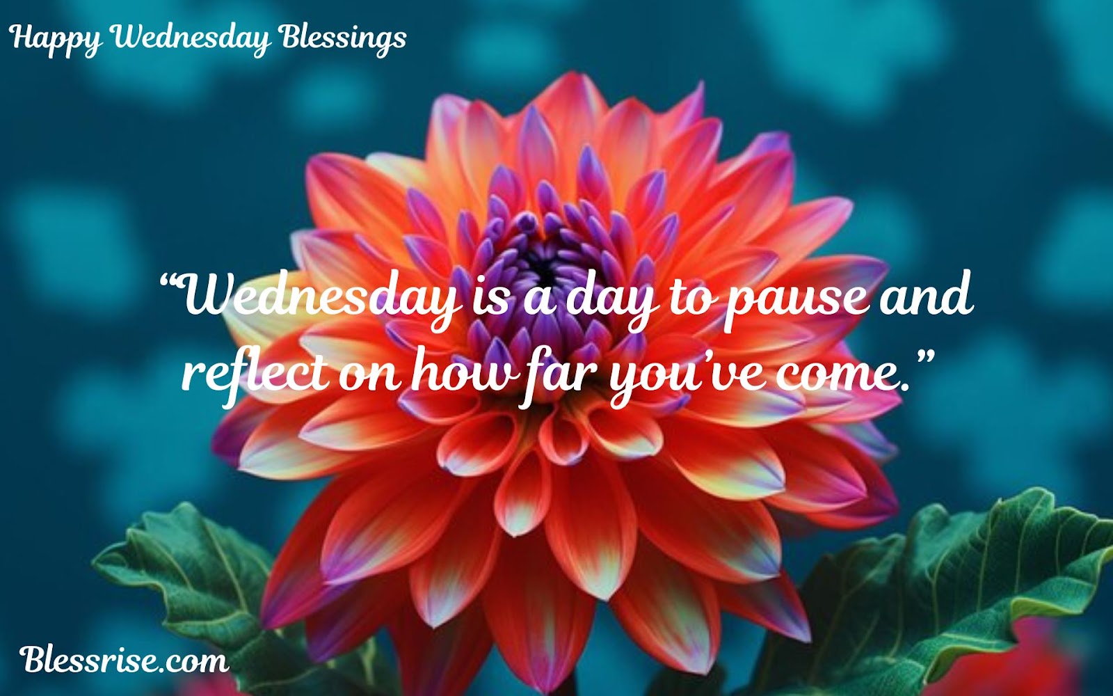 Happy Wednesday Wishes
