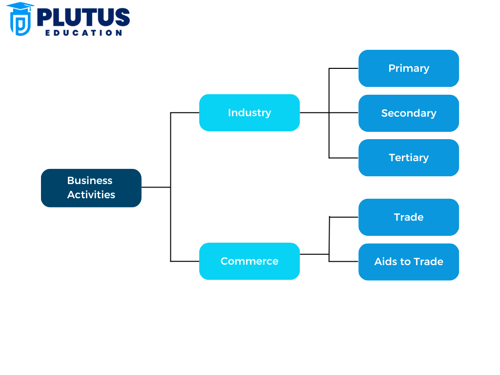 Classification of Business Activities