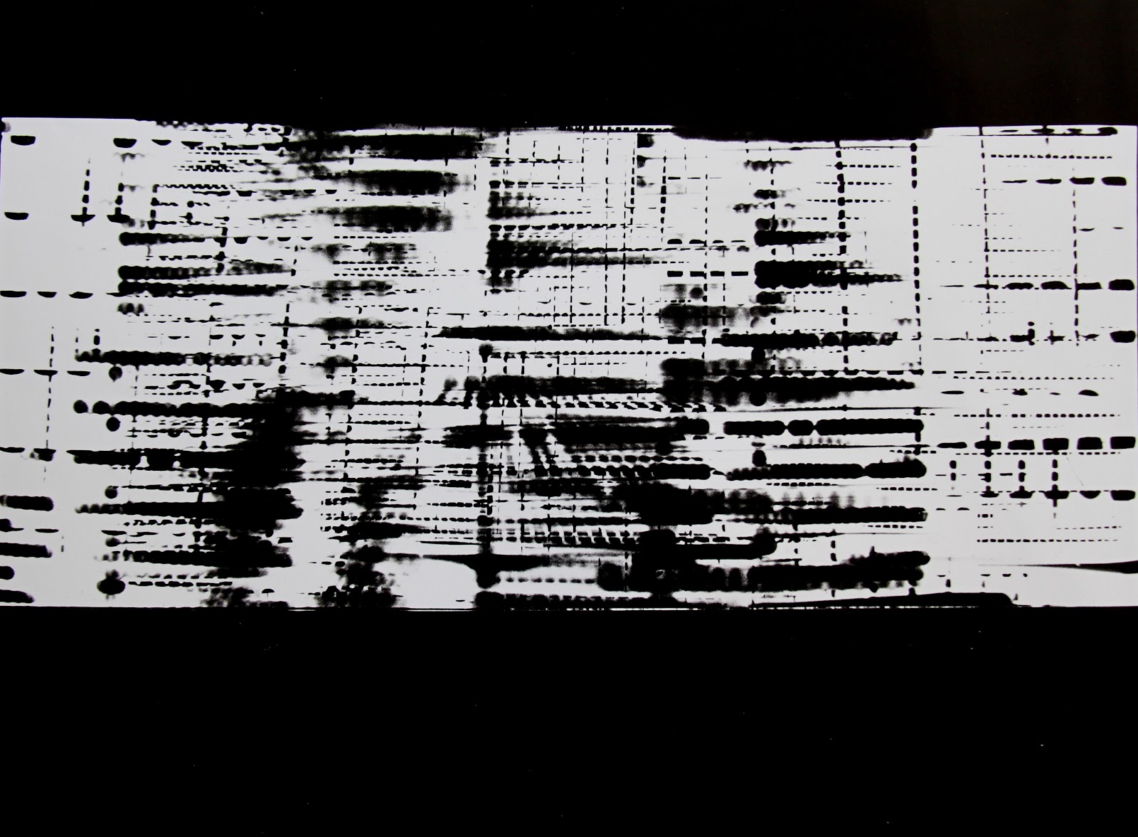 Roger Humbert, Untitled (Photogram #8), 1960
Gelatin silver print on baryt paper
27 x 36 cm
Unique