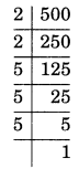 Exponents and Powers Class 7 Extra Questions Maths Chapter 13 Q6.2