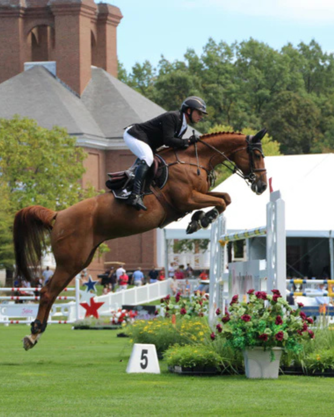 A healthy horse jumping in a competition
