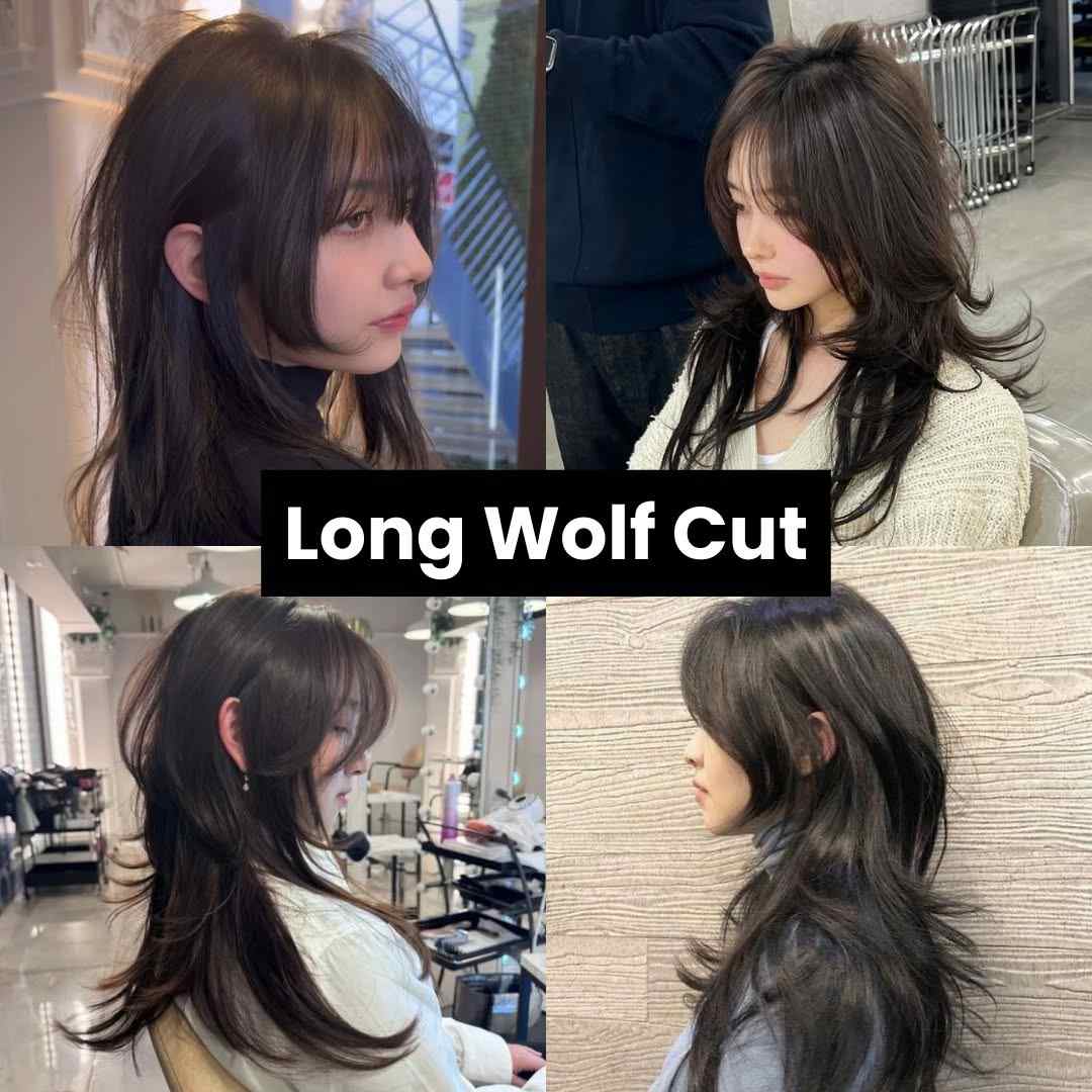 Long Wolf Cut