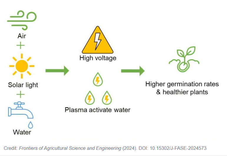 A diagram of a plant

Description automatically generated