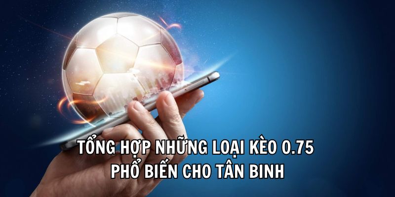 Tổng hợp những loại kèo 0.75 phổ biến cho tân binh