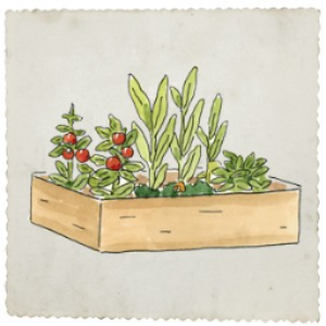 Transform Your Urban Space into a Thriving Garden Paradise