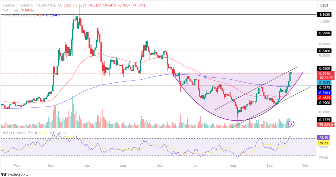 Fantom Price Analysis September 2024