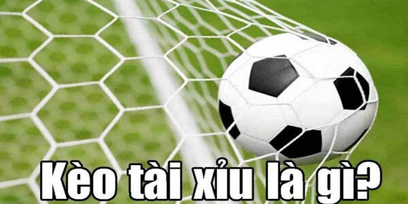 AD_4nXdZ_uKoLNZKiy3ll0epIxJbK6l7IFwYTIJE90vmpvFU_5tDjAEc0ayE5tLDnr3oovNKmUfJx8l9N2SUims-0DHbx7hoaM-e4JXPERav-vdIP1kFyPtLm8GQcTq4Arw6AcjpfUH5B8XsA48hSfEcsKOg5oZ4