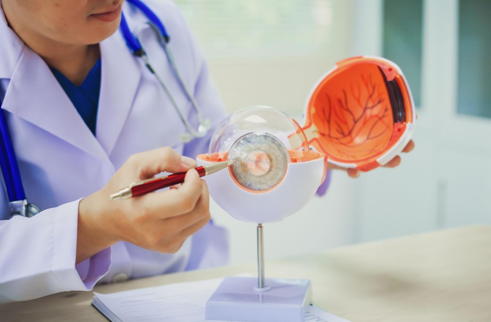 A patient undergoes a diabetic eye exam at their optometrist clinic.