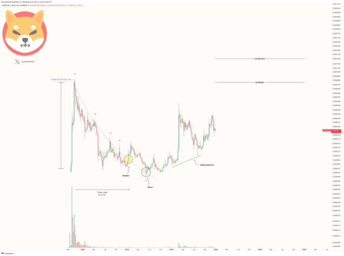 Shiba Inu Could Skyrocket 264% On Bullish Momentum, Analyst Claims