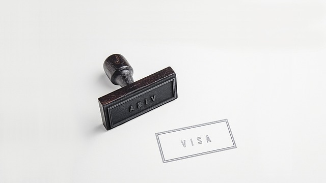 illustration of stamp with visa written on it