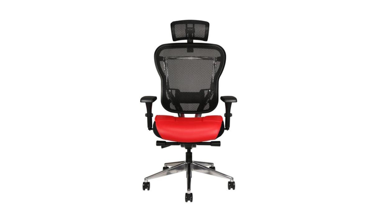 Aloria Series Leather Office Chair with Headrest