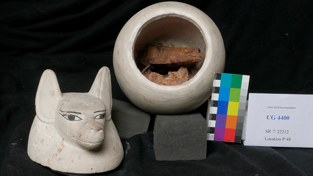 What Four Gods Were Associated with the Canopic Jars