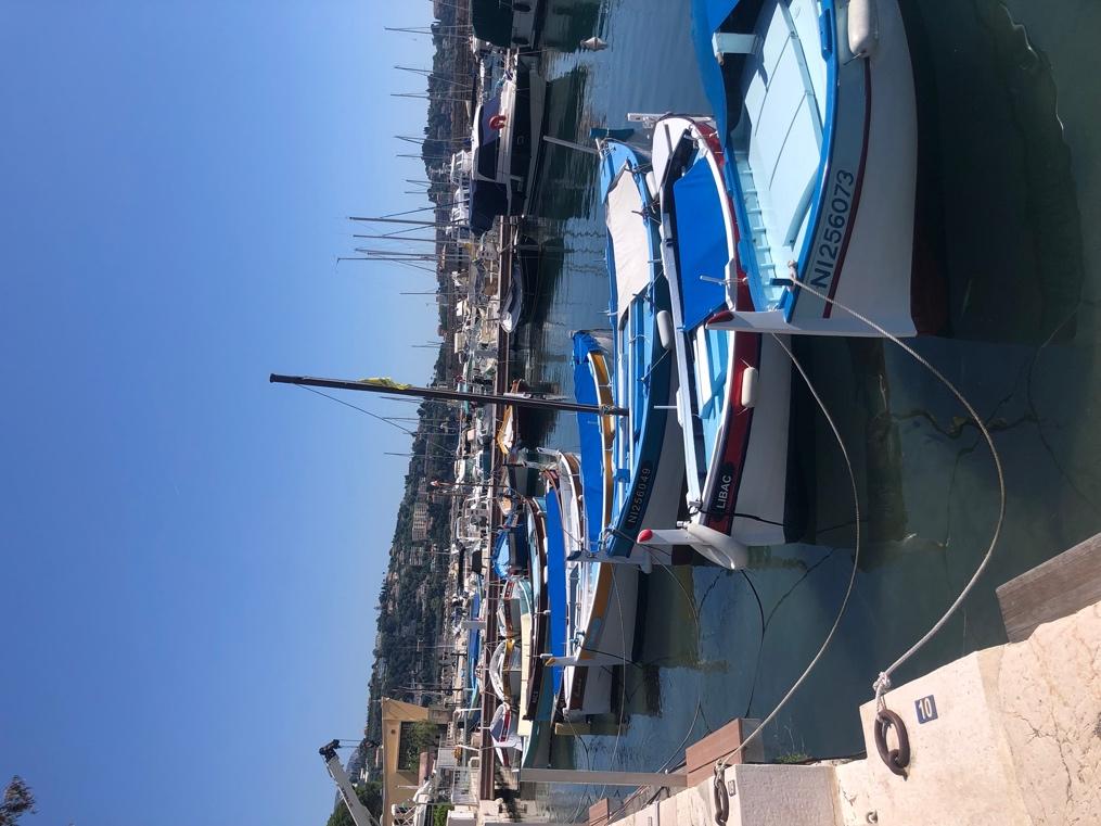 Boats in a harbor with a dock and buildings

Description automatically generated