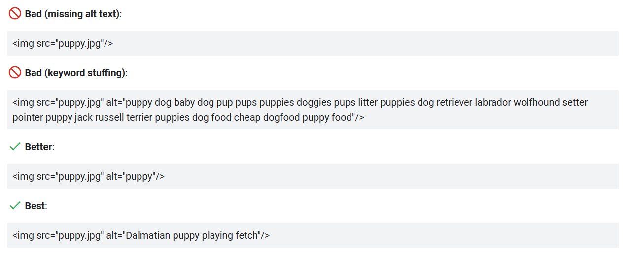 Screenshot of Google's examples of good and bad Alt Text