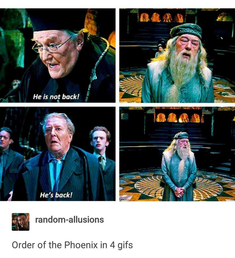 He is not back! He's back! random-allusions Order of the Phoenix in 4 gifs 04A8