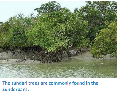 A picture containing text, tree, outdoor, water

Description automatically generated