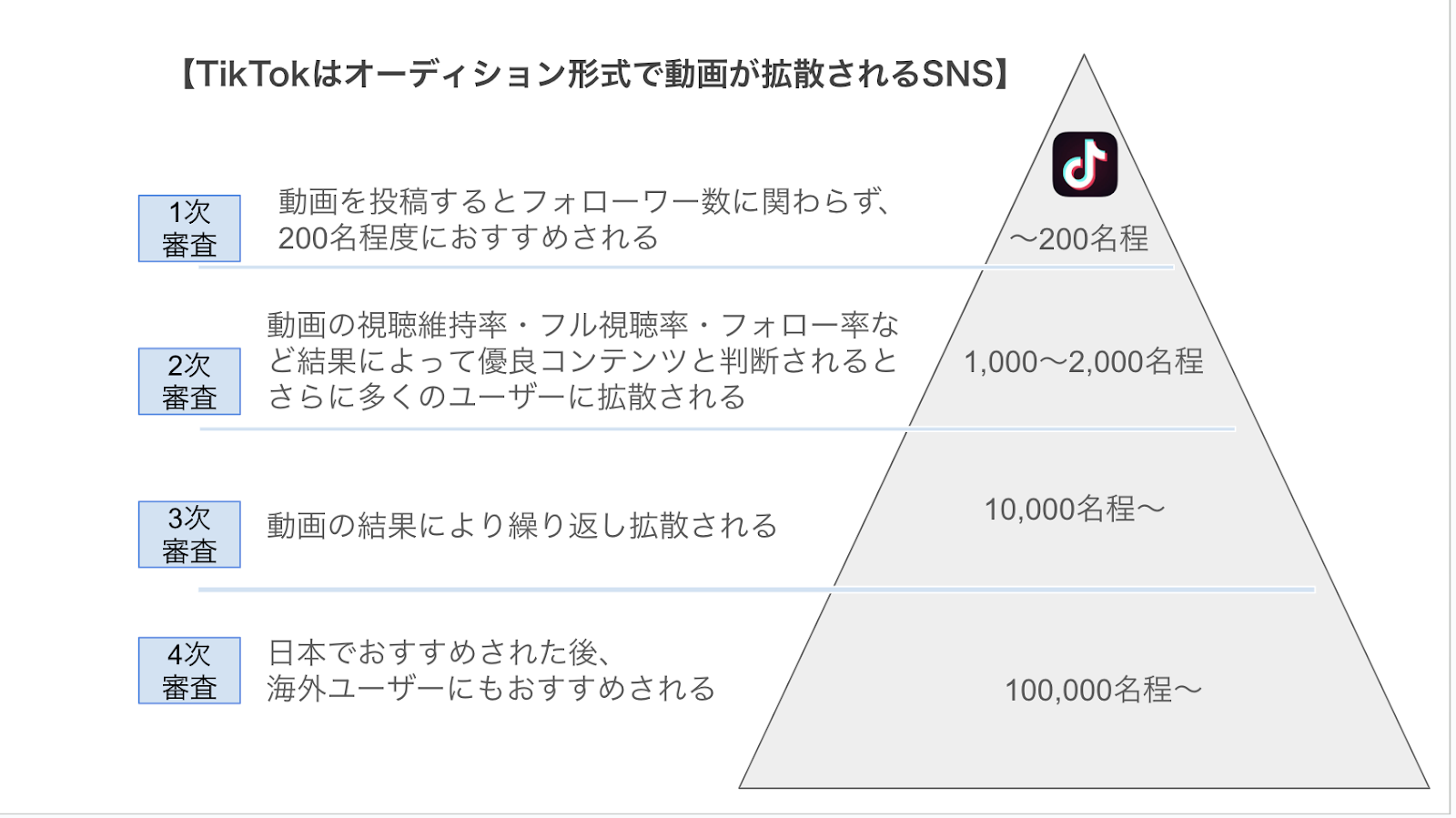 TikTokがバズるメカニズム