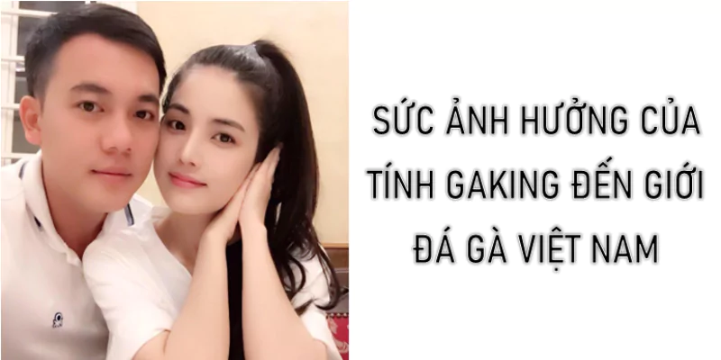 Sức ảnh hưởng của Tính Gaking đến giới đá gà Việt Nam