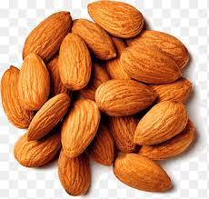 Almond png images | PNGEgg