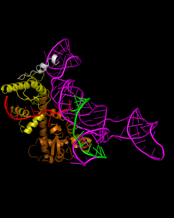 A colorful wire model of a fish

Description automatically generated