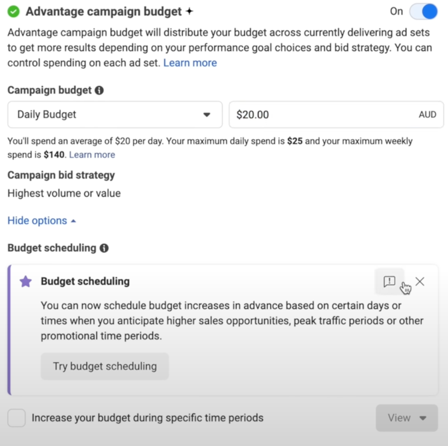 Advantage Campaign budget settings