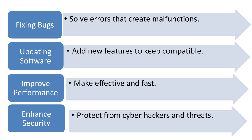 Software maintenance services 