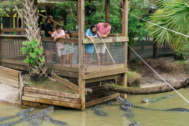 A family feeding alligators at Wild Florida’s Gator Park, surrounded by lush greenery and a calm pond filled with alligators.