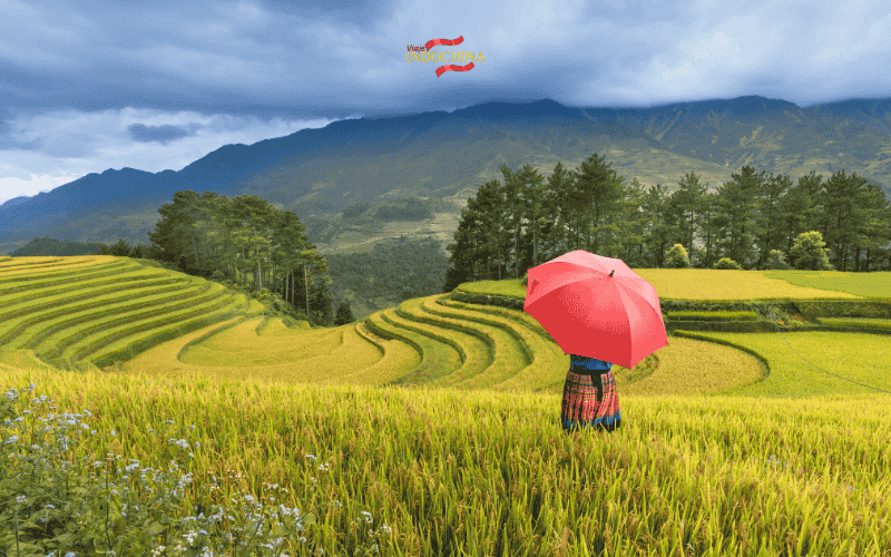 Terrazas de arroz