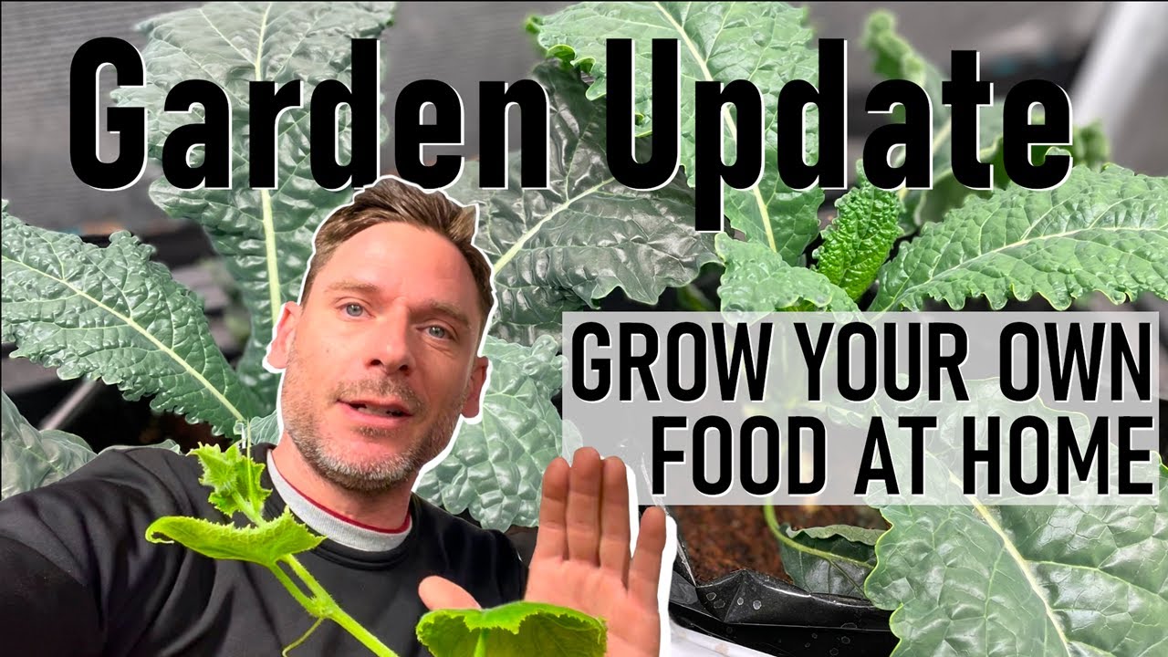 grow your own food at home