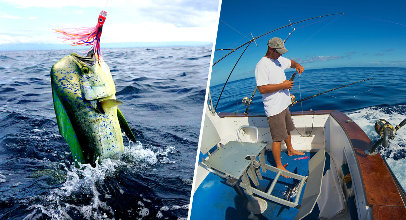 Deep Sea Fishing Tips for Beginners: Master the Ocean