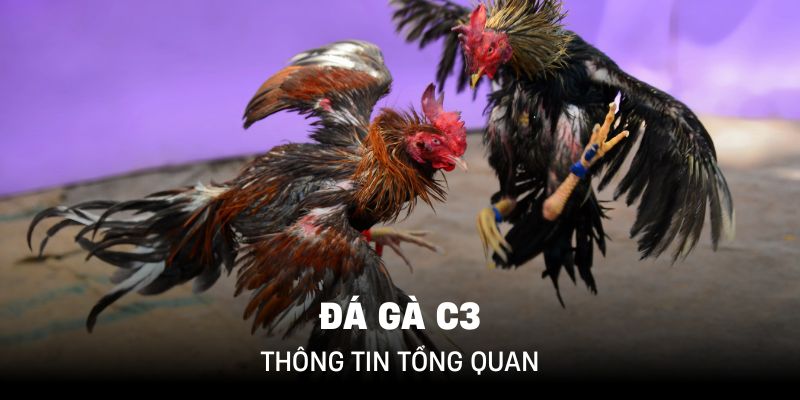 Hình thức thu hút sự quan tâm đặc biệt của người chơi khắp nơi