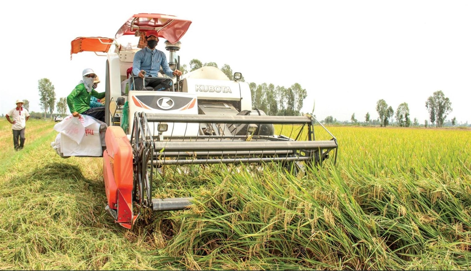 Cho thuê thiết bị nông lâm nghiệp kèm người vận hành không thuộc mã 7730
