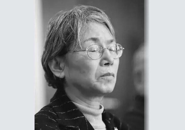 从宋彬彬去世到日本男孩遇刺　文革２.0版正在上演？