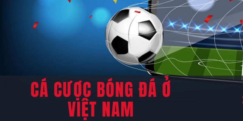 Top 5 Trang Cá Cược Bóng Đá Hàng Đầu, Uy Tín Nhất 2024-2