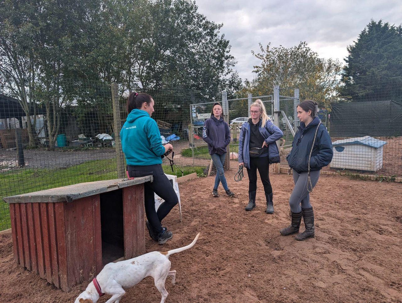 Rachel, owner of Nose to Trail explaining how the muzzle training session will work to the Pawprints Team