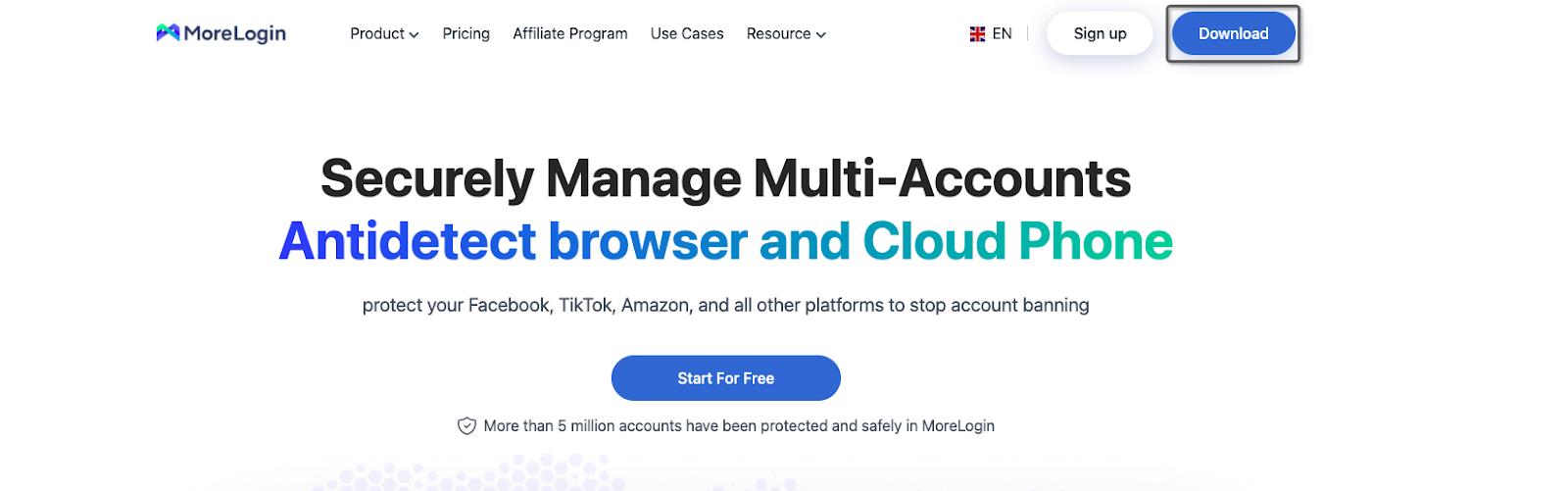 Morelogin Interface