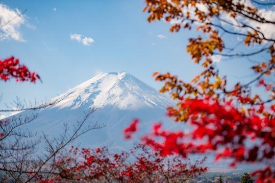 Tips & Things to Do in Fall at Mount Fuji - Travel Caffeine