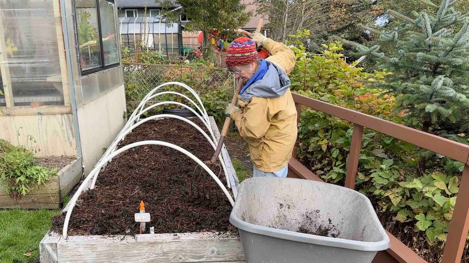 Marion the UpBeet Gardener spreading compost over garden soil in a raised garden bed