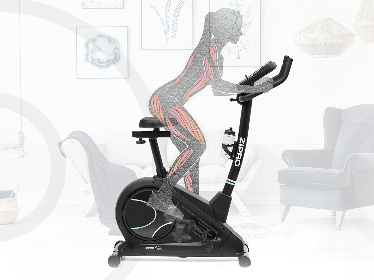 Rower elektryczno-magnetyczny Flame WM Zipro kinomap iconsole