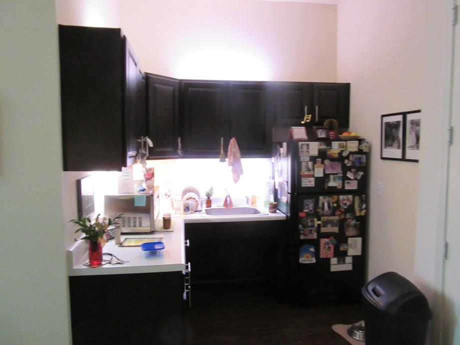 A kitchen with black cabinets

Description automatically generated