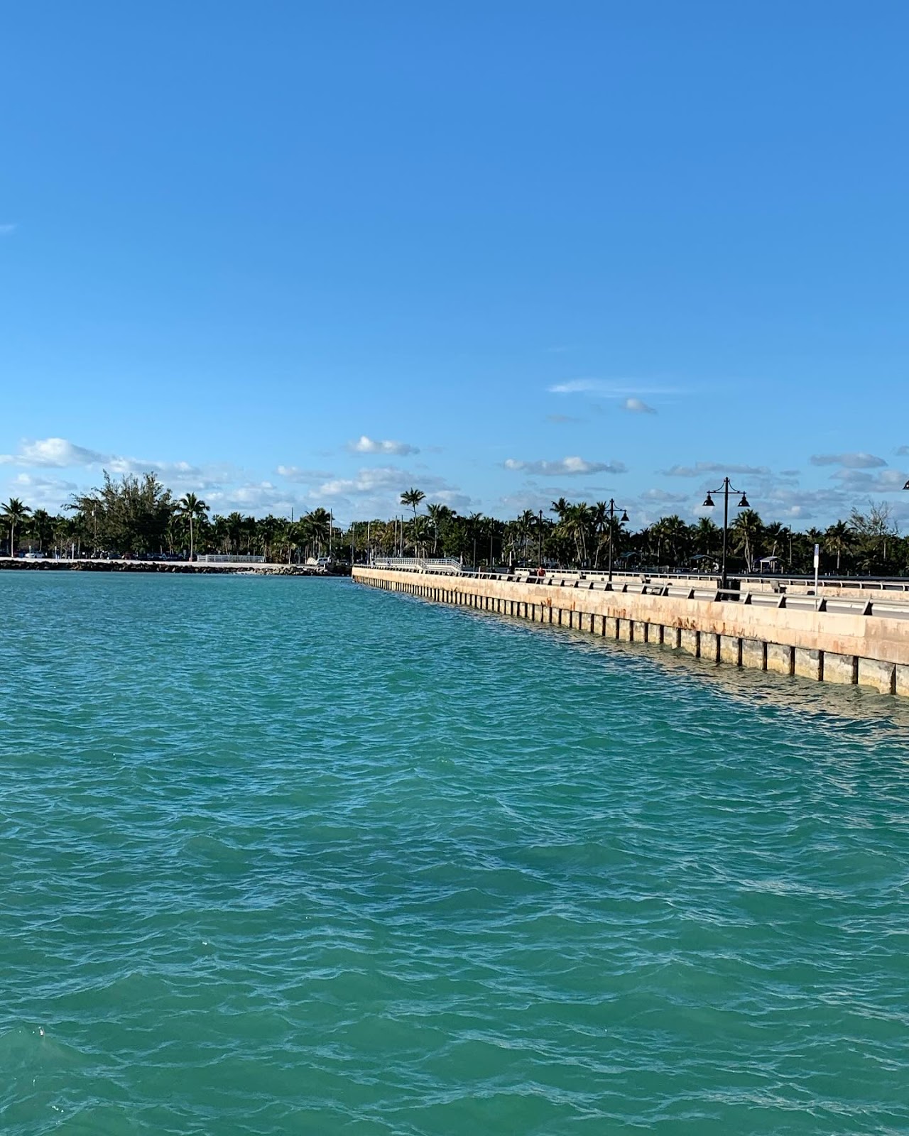 Snorkel Higgs Beach