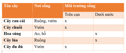 BÀI 16. THỰC VẬT SỐNG Ở ĐÂUMỞ ĐẦUCâu hỏi: Kể tên và nơi sống của các cây mà em biết.Đáp án chuẩn:Một số cây mà em biết: hoa hồng sống trên cạn, hoa sen sống trong đầm, cây nhãn sống trên cạn,…KHÁM PHÁCâu 1: Quan sát, nói tên và nơi sống của cây trong mỗi hình dưới đây.Đáp án chuẩn:Hoa súng sống ở trong ao, hồ.Rau muống nước sống ở ruộng.Cây xương rồng sống ở sa mạc.Cây đước sống ở ven biển chống ngập mặn.Cây chuối sống ở trên vườn.Cây dừa sống ở trên vườn.Cây rêu sống ở nơi có độ ẩm cao như mái nhà.Câu 2: Các cây đó sống ở môi trường trên cạn hay dưới nước?Đáp án chuẩn:Các cây đó có cây sống ở môi trường trên cạn là: cây xương rồng, cây chuối, cây dừa, cây rêu.Câu 3: Phân loại các cây mà em biết dựa vào nơi sống, môi trường sống và hoàn thành bảng theo mẫu:Đáp án chuẩn:THỰC HÀNHCâu 1: Nơi em sống có những cây gì? Chúng sống ở môi trường nào?Đáp án chuẩn:Nơi em đang sống có cây sưa, cây hoa sữa, cây phượng, cây si. Chúng đều sống ở môi trường trên cạn.Câu 2: Hãy hỏi bạn về tên và nơi sống của cây trong mỗi thẻ hình dưới đây.Đáp án chuẩn:- Cây đu đủ sống ở trong vườn.- Cây hoa súng sống ở ao, hồ.- Cây lúa sống ở ruộng.- Cây bèo tây sống ở ao, hồ.- Cây xấu hổ sống ở các ven đường.VẬN DỤNG