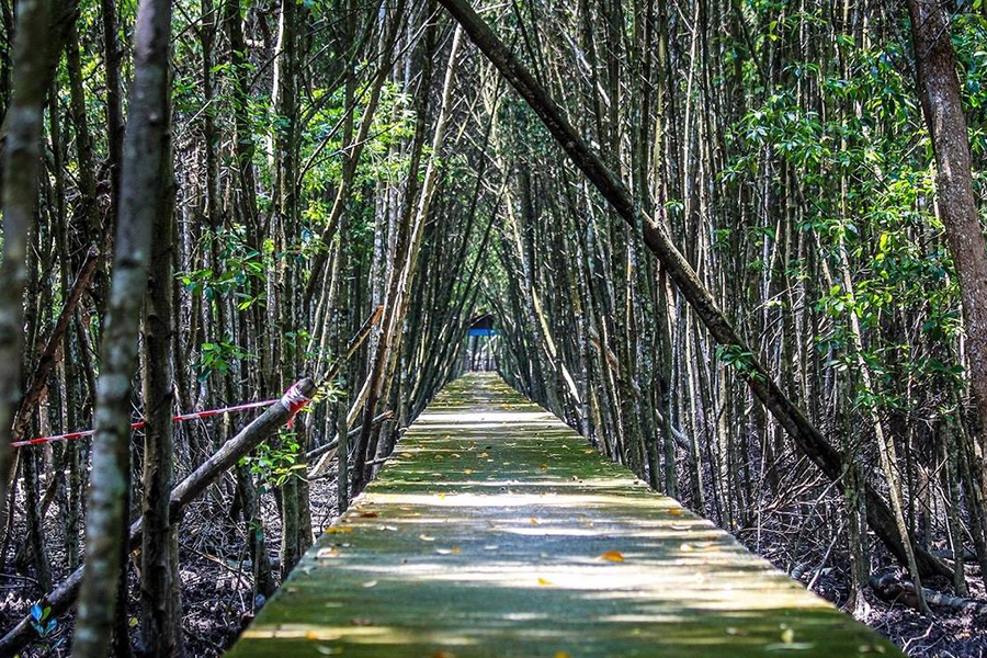 Kuala Selangor offre des attractions naturelles et paysages magnifiques