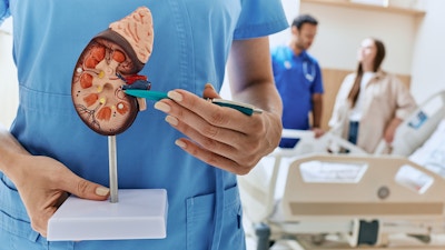 Kidney Engineering Technology for New Tissue Replacement Therapies